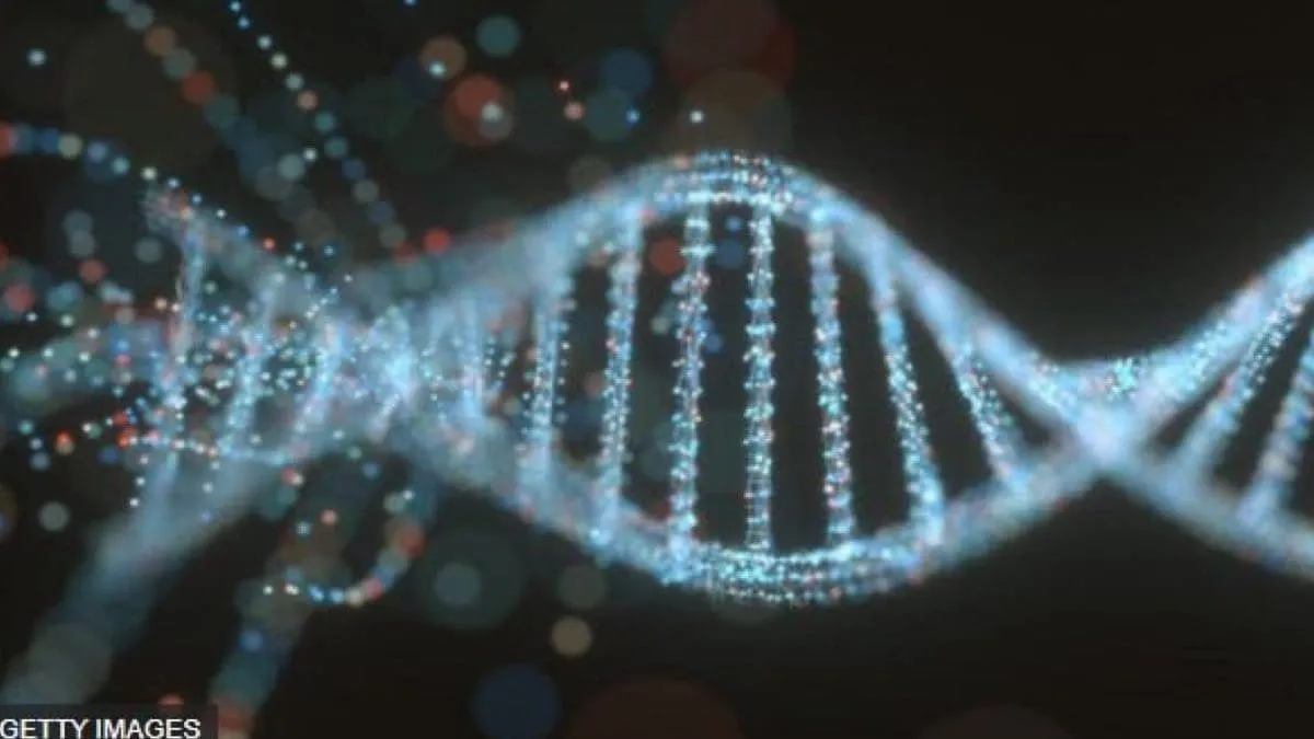 หน่วยพันธุกรรมของสิ่งมีชีวิตแรกบนโลก เกิดจากดีเอ็นเอ - อาร์เอ็นเอ ผสมผสานกัน