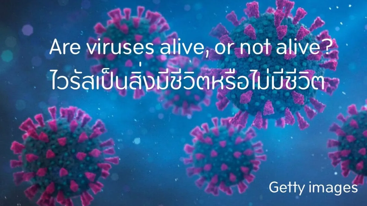 ไวรัสเป็นสิ่งมีชีวิตหรือไม่มีชีวิต
