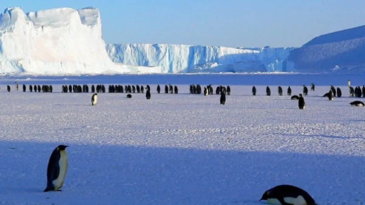 น้ำแข็งในแอนตาร์กติกา